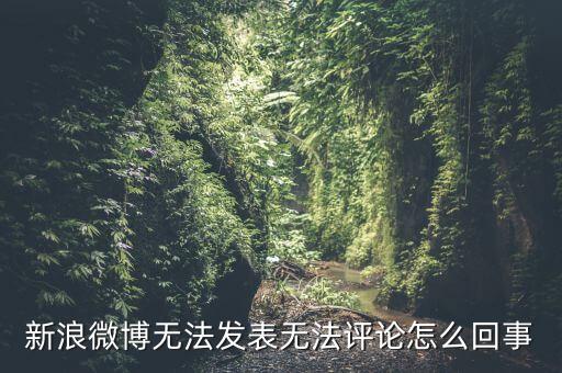 新浪微博無法發(fā)表無法評論怎么回事