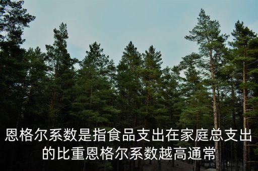 什么是恩格爾系數(shù)法，什么是恩戈?duì)栂禂?shù)