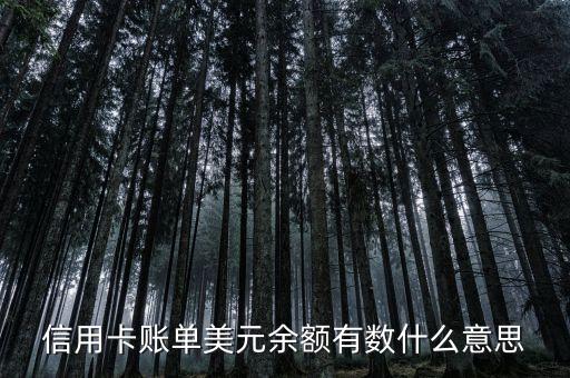 銀行存款的明細(xì)是美元是什么意思，銀行存單上美元符號(hào)是什么