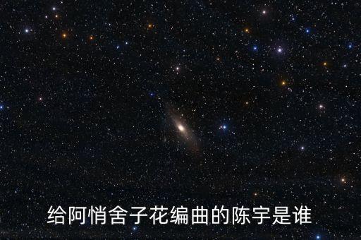 陳宇是誰什么什么，給阿悄舍子花編曲的陳宇是誰