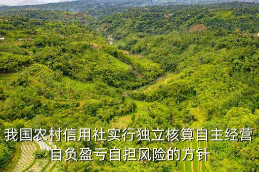自擔(dān)風(fēng)險(xiǎn)是什么，報(bào)關(guān)報(bào)檢證如果掛靠自擔(dān)風(fēng)險(xiǎn)嗎
