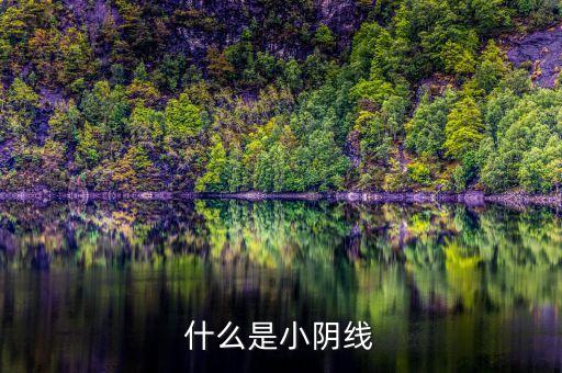 什么是小陰線，什么是小陰線小陽(yáng)線是什么連續(xù)小陽(yáng)線是什么
