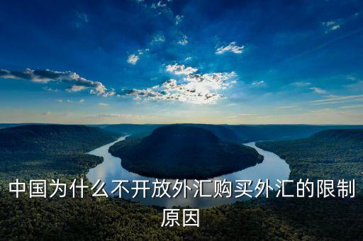 中國(guó)為什么不開(kāi)放外匯購(gòu)買外匯的限制原因