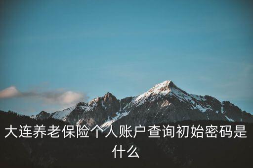 社保查詢個(gè)人賬戶查詢密碼是什么，社?？ú樵?初始密碼是多少