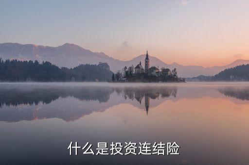 什么是投資連結險
