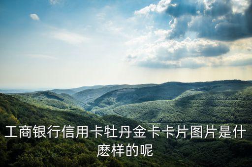 工行金卡是什么樣的，工商銀行信用卡牡丹金卡卡片圖片是什麼樣的呢