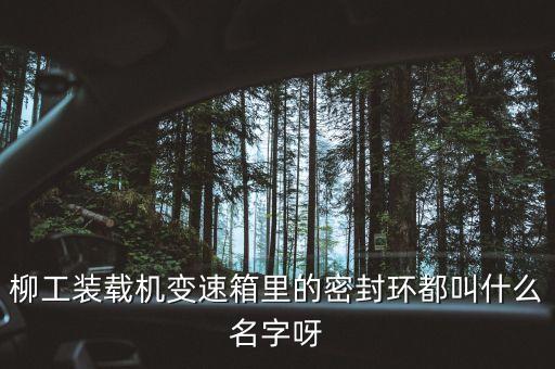 柳工836使用的什么鋼圈，柳工836配用的是什么發(fā)動機