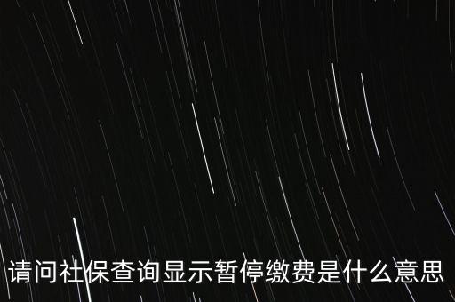 全國社?；饡和Ｊ裁匆馑?，社保停保是什么意思