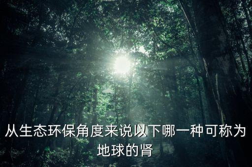 從生態(tài)環(huán)保角度來說以下哪一種可稱為地球的腎