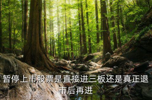 暫停上市股票是直接進(jìn)三板還是真正退市后再進(jìn)