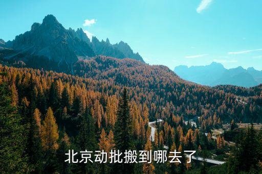 北京動批什么時候搬遷，北京動批搬到哪去了