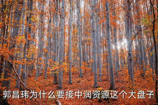 中潤(rùn)資源為什么停牌，000506中潤(rùn)資源停牌多久可以復(fù)牌