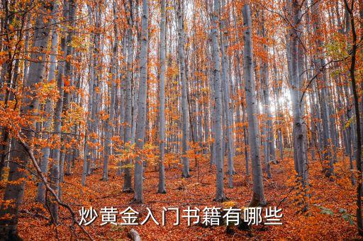 炒黃金看什么書，炒現(xiàn)貨黃金要看什么書
