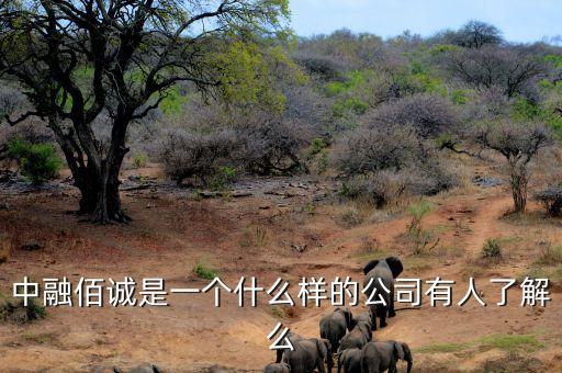 中融信誠是做什么的，中融佰誠是一個什么樣的公司有人了解么