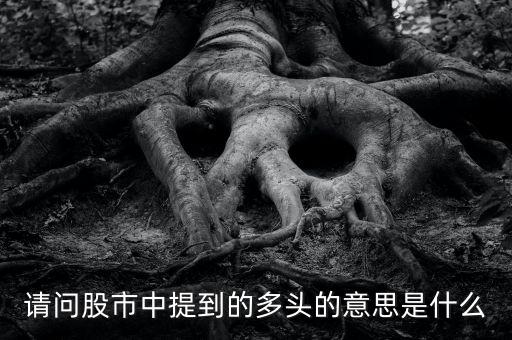 請問股市中提到的多頭的意思是什么