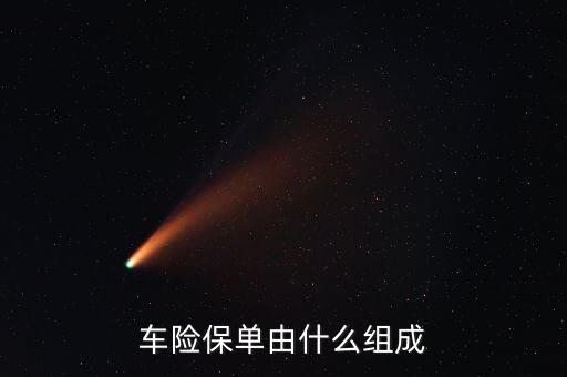 車險(xiǎn)保單由什么組成