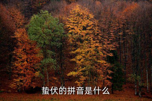 人的蟄伏期是什么，寂寂人定初中的人定是什么時候用天干地支中的回答相當(dāng)