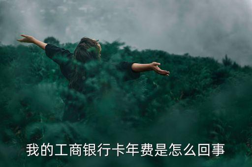 工商銀行卡年費是什么意思，工行的年費是什么意思