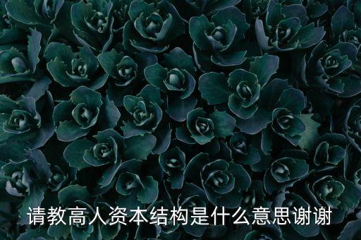 資本結(jié)構(gòu)彈性是什么，資本產(chǎn)出彈性是什么 勞動產(chǎn)出彈性是什么