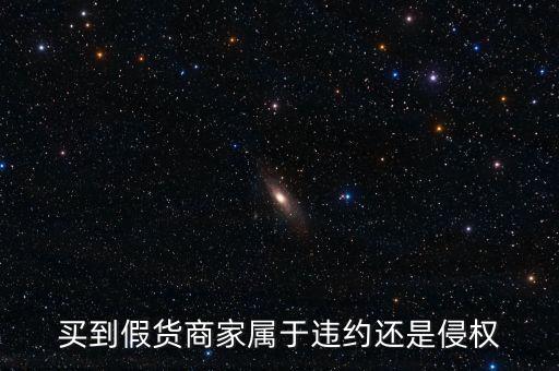假進口商家承擔什么責(zé)任，商家銷售假冒商品市場管理方要承擔多大的管理責(zé)任所在經(jīng)營地的