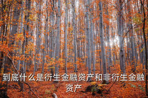 非衍生金融資產(chǎn)什么意思，到底什么是衍生金融資產(chǎn)和非衍生金融資產(chǎn)