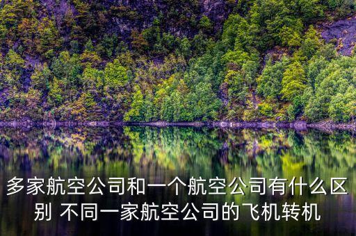 多家航空公司什么意思，同一架飛機(jī)有2家公司運(yùn)營嗎我和我哥買的同一家飛機(jī)為什么是不