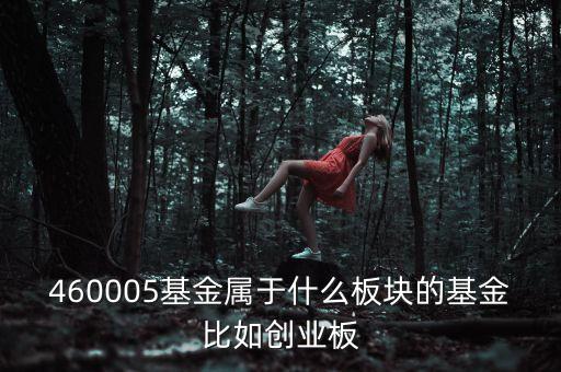 富國(guó)天益價(jià)值重倉(cāng)什么板塊，460005基金屬于什么板塊的基金比如創(chuàng)業(yè)板