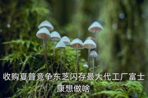 郭臺銘為什么要收購夏普，如果松下索尼夏普倒閉了中國公司能收購他們的品牌嗎