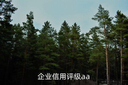 企業(yè)信用評級aa