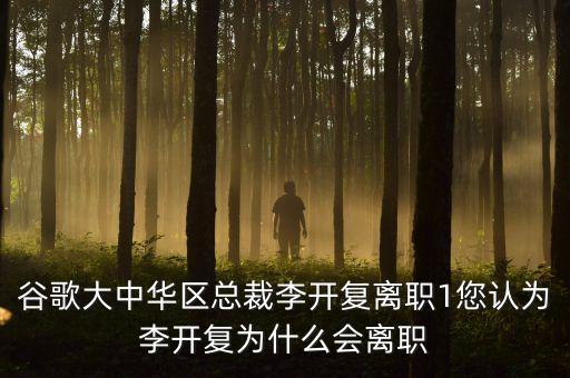 谷歌大中華區(qū)總裁李開復(fù)離職1您認(rèn)為李開復(fù)為什么會離職