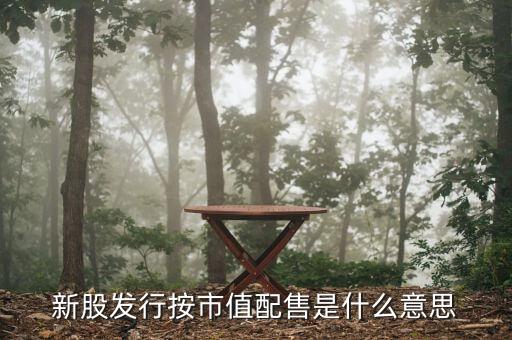 什么叫市值配售，新股發(fā)行按市值配售是什么意思