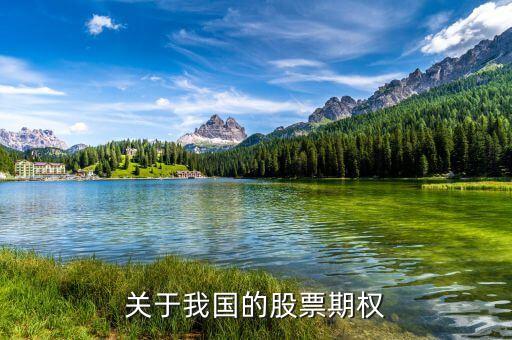我國都有什么關(guān)于期權(quán)的會(huì)議，我國已推出的期權(quán)有哪些