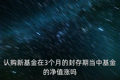 基金追加認購凈值有什么變化，基金募集期內基金凈值有變化嗎