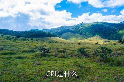 什么事cpi，CPI是什么