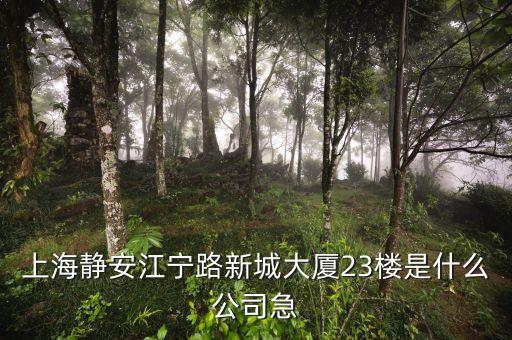上海眾城大廈第23層是什么，上海浦東新區(qū)東方路818號眾城大廈1604室是什么公司啊