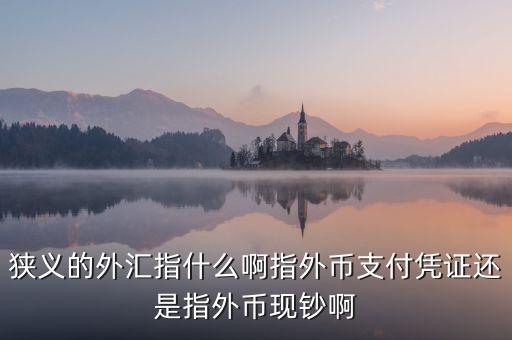 狹義的外匯包括什么，狹義的外匯指什么啊指外幣支付憑證還是指外幣現(xiàn)鈔啊