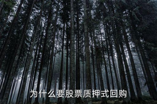 為什么要股票質(zhì)押式回購(gòu)