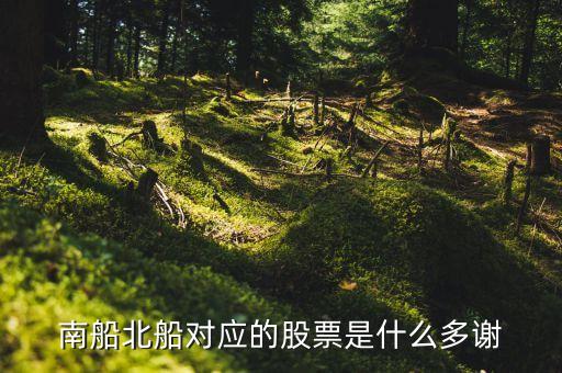 股市中南船北船是什么股票，股票里南車北車南船北船指什么股票