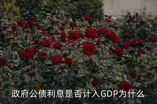 政府公債利息是什么，什么叫政府公債利息