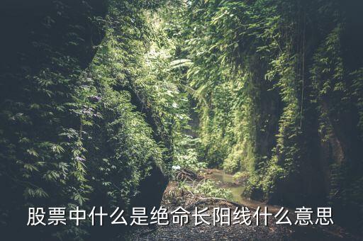 什么是奪命長陽，什么是奪命長陽