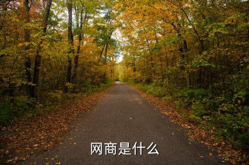 dt網(wǎng)商是什么，網(wǎng)商是什么