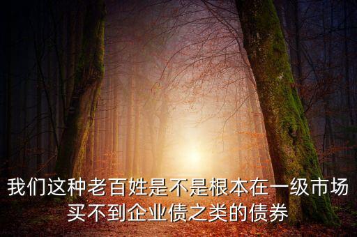 為什么普通投資者不能購買債券，為什么我的不能買債券是怎么買的國信證券