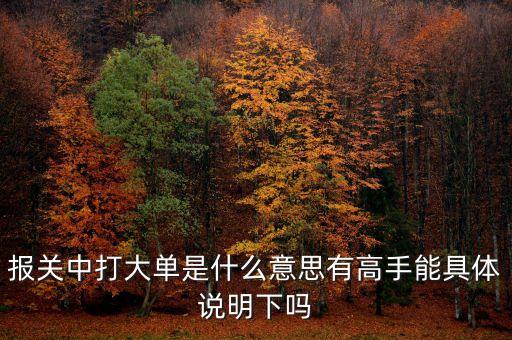 報(bào)關(guān)中的大單是什么意思，報(bào)關(guān)單里打大單是指哪些單怎么打
