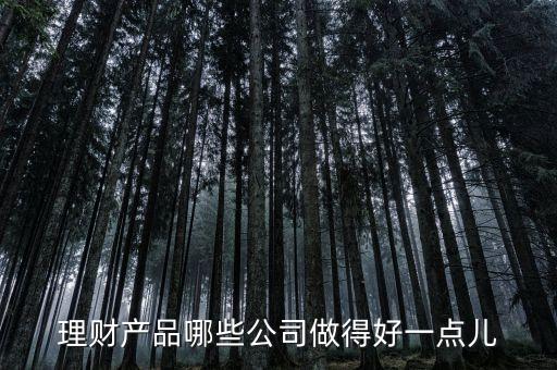 理財產(chǎn)品哪些公司做得好一點兒
