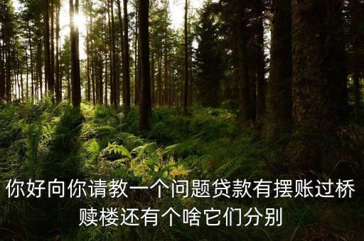 贖樓過橋什么意思，你好向你請(qǐng)教一個(gè)問題貸款有擺賬過橋贖樓還有個(gè)啥它們分別