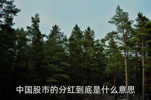 中國(guó)股市的分紅到底是什么意思