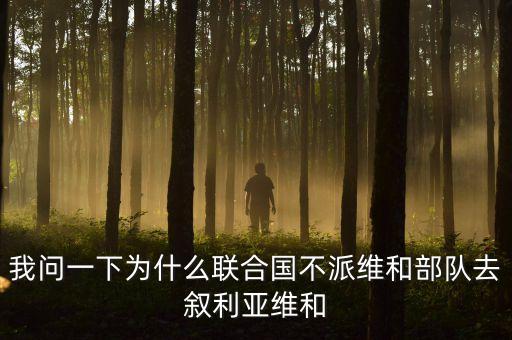 聯(lián)合國(guó)為什么敘利亞，英美法為什么聯(lián)合攻打敘利亞