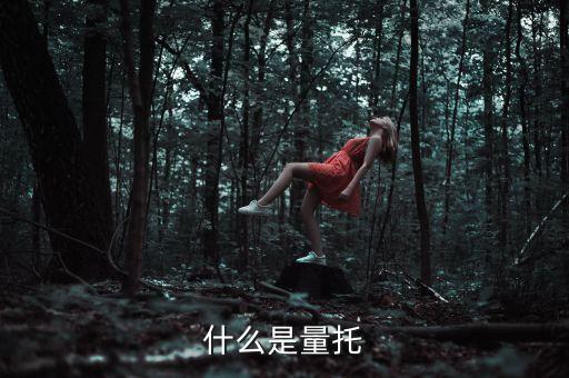 什么是量托