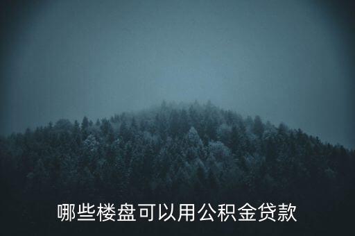 合肥什么房支持公積金貸款，哪些樓盤可以用公積金貸款