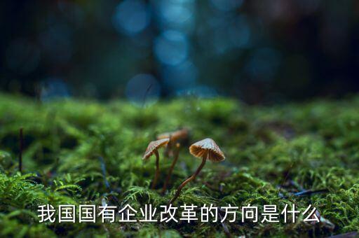 企業(yè)改革方向是什么，我國國有企業(yè)改革的方向是什么
